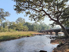  Dantewada